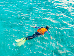 Snorkeling